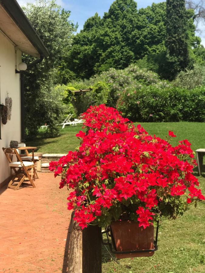 Agriturismo B&B Le Casette Sul Garda Cavaion Veronese Eksteriør bilde