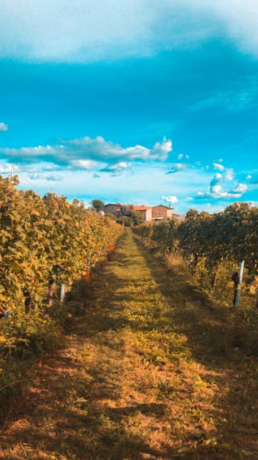 Agriturismo B&B Le Casette Sul Garda Cavaion Veronese Eksteriør bilde