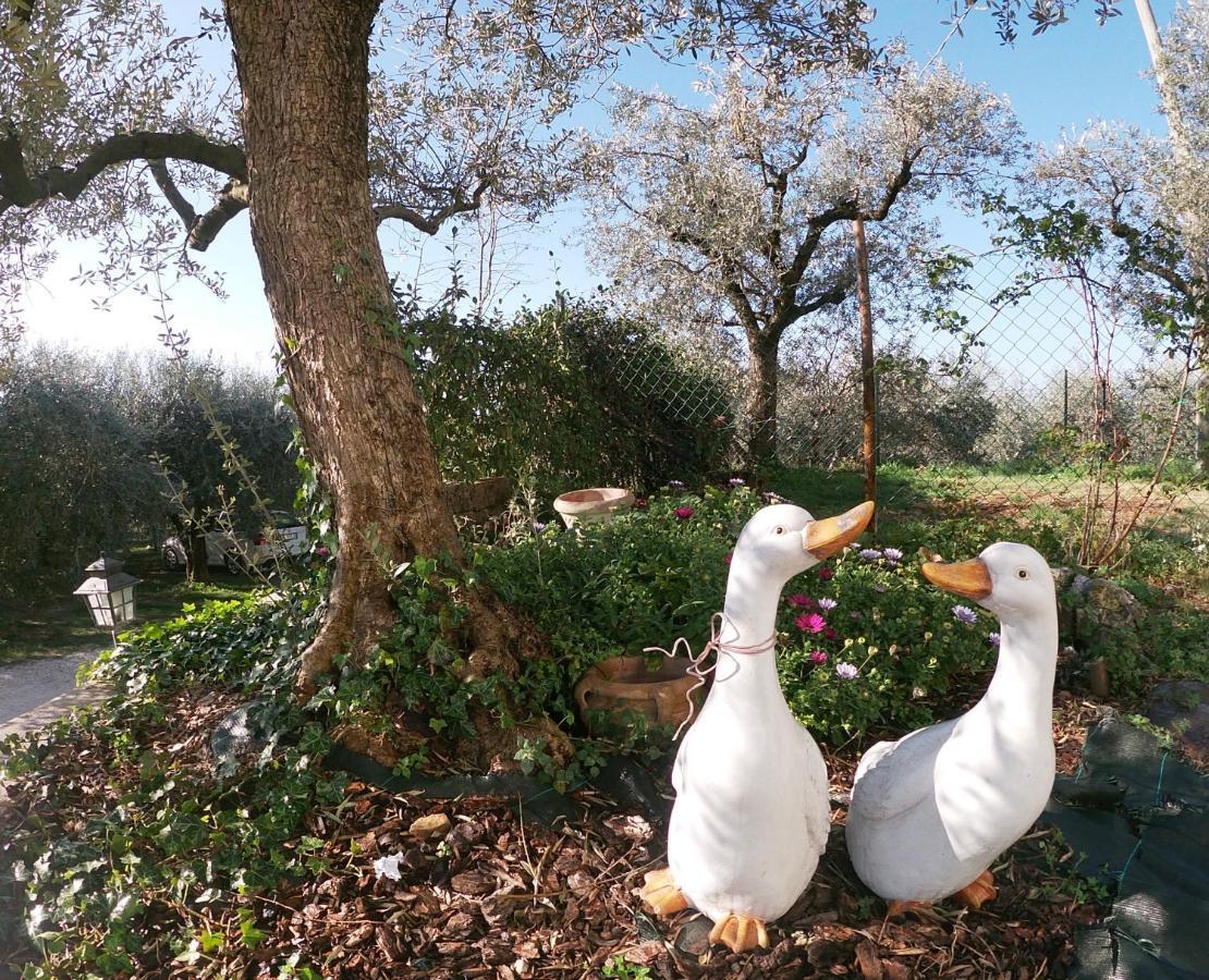 Agriturismo B&B Le Casette Sul Garda Cavaion Veronese Eksteriør bilde